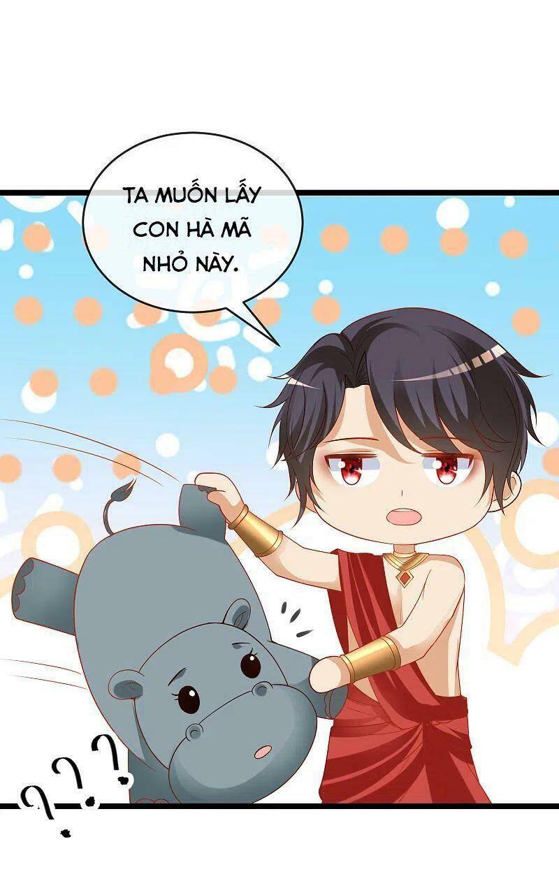 Sủng Hậu Của Vương Chapter 119 - 5