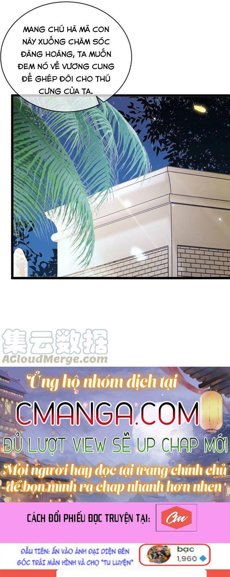 Sủng Hậu Của Vương Chapter 119 - 10