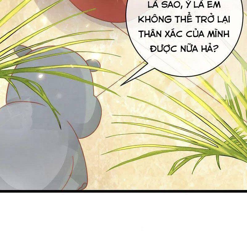 Sủng Hậu Của Vương Chapter 120 - 52