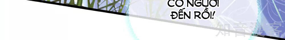 Sủng Hậu Của Vương Chapter 81 - 24