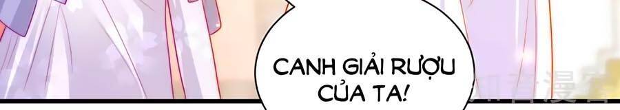 Sủng Hậu Của Vương Chapter 83 - 29