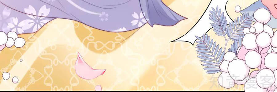 Sủng Hậu Của Vương Chapter 84 - 29