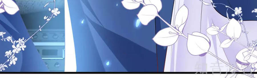 Sủng Hậu Của Vương Chapter 85 - 35