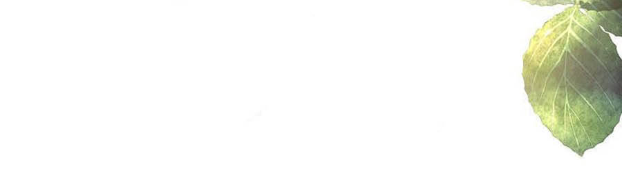 Sủng Hậu Của Vương Chapter 93 - 27