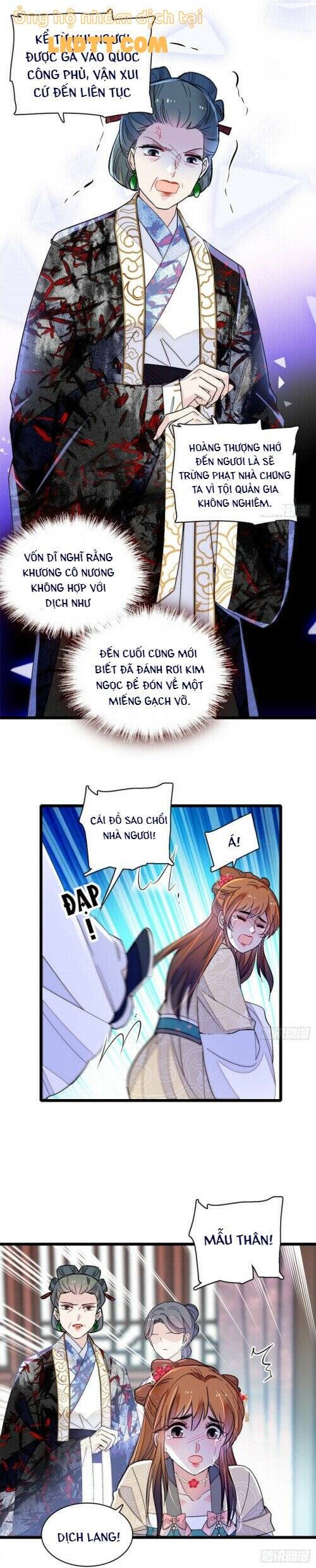 Tự Cẩm Chapter 148 - 19