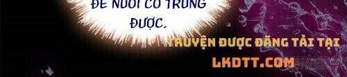 Tự Cẩm Chapter 160 - 14