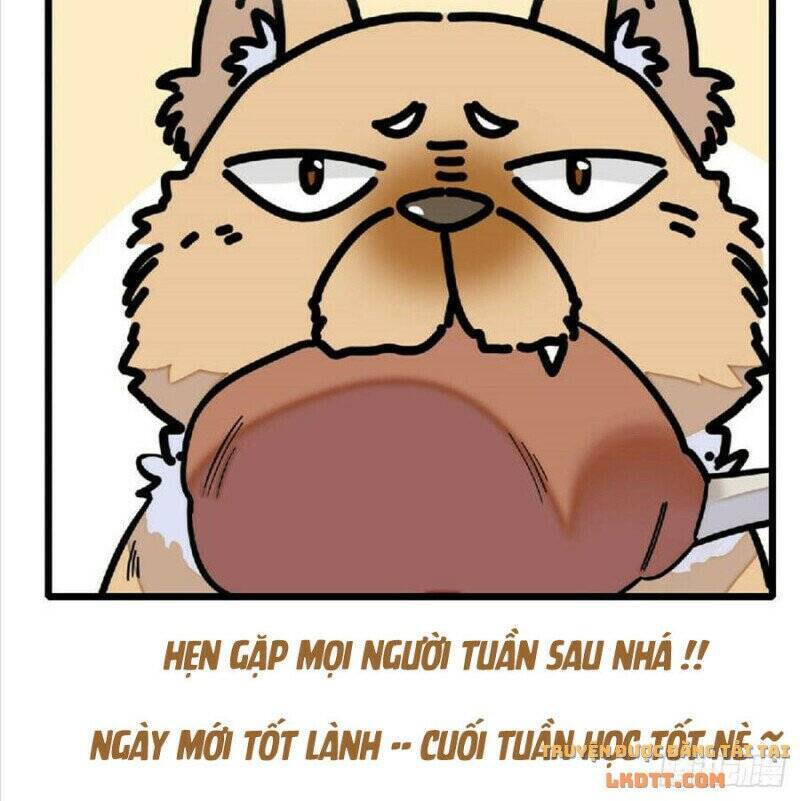 Tự Cẩm Chapter 171 - 40