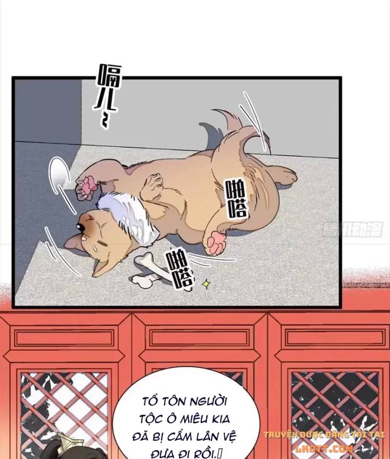 Tự Cẩm Chapter 197 - 19