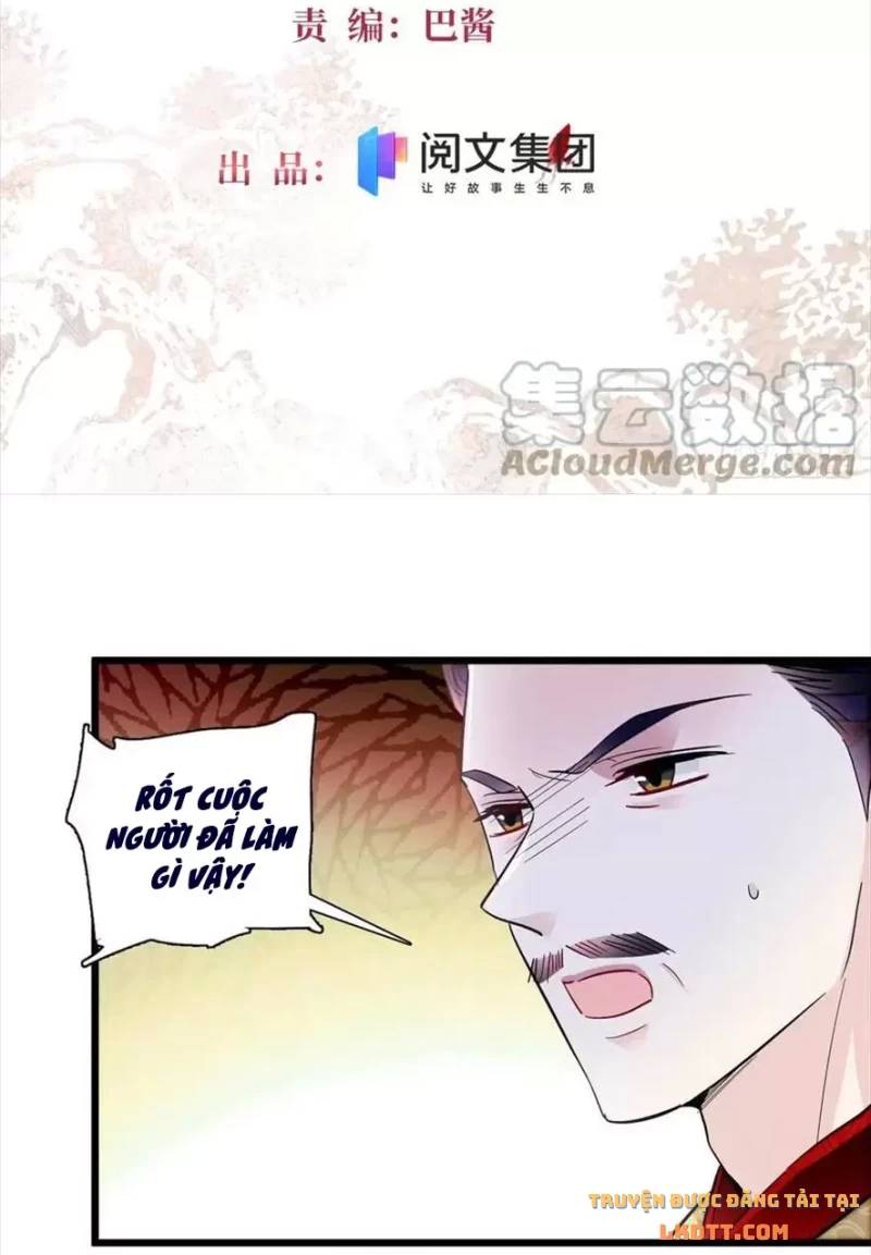 Tự Cẩm Chapter 197 - 3