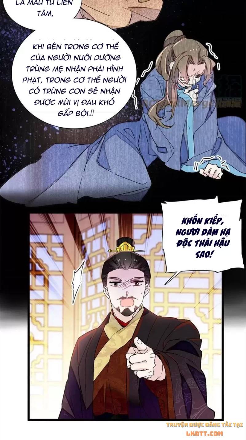 Tự Cẩm Chapter 197 - 5