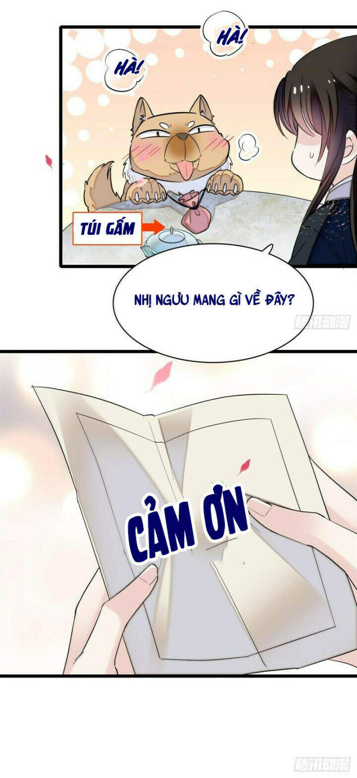Tự Cẩm Chapter 76 - 14