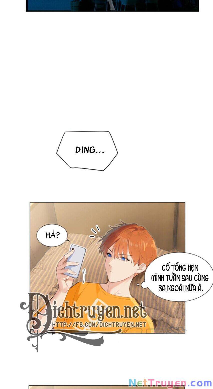 Đâu Phải Tại Tui Muốn Giả Gái Chapter 67 - 12