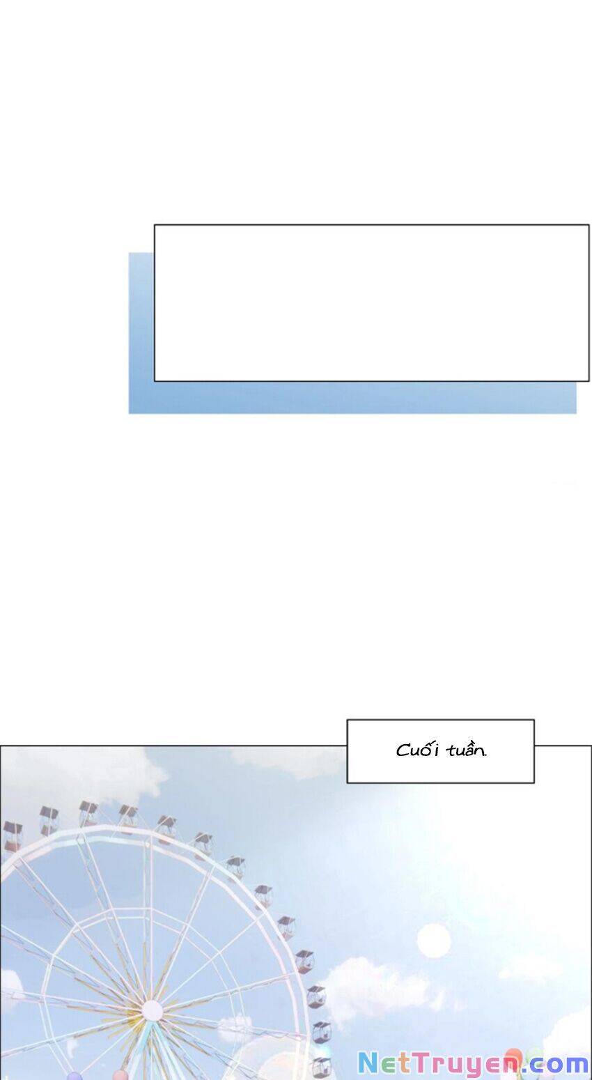 Đâu Phải Tại Tui Muốn Giả Gái Chapter 67 - 19