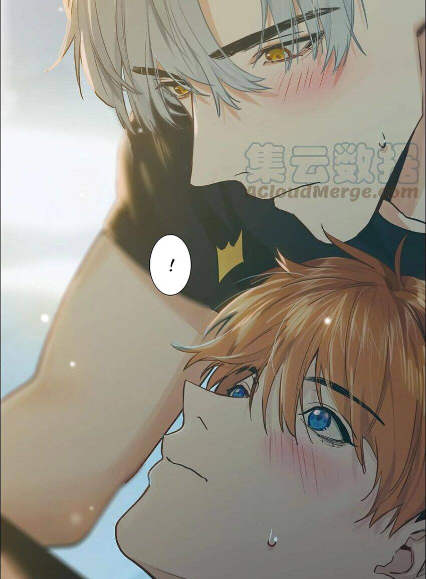 Đâu Phải Tại Tui Muốn Giả Gái Chapter 65 - 37