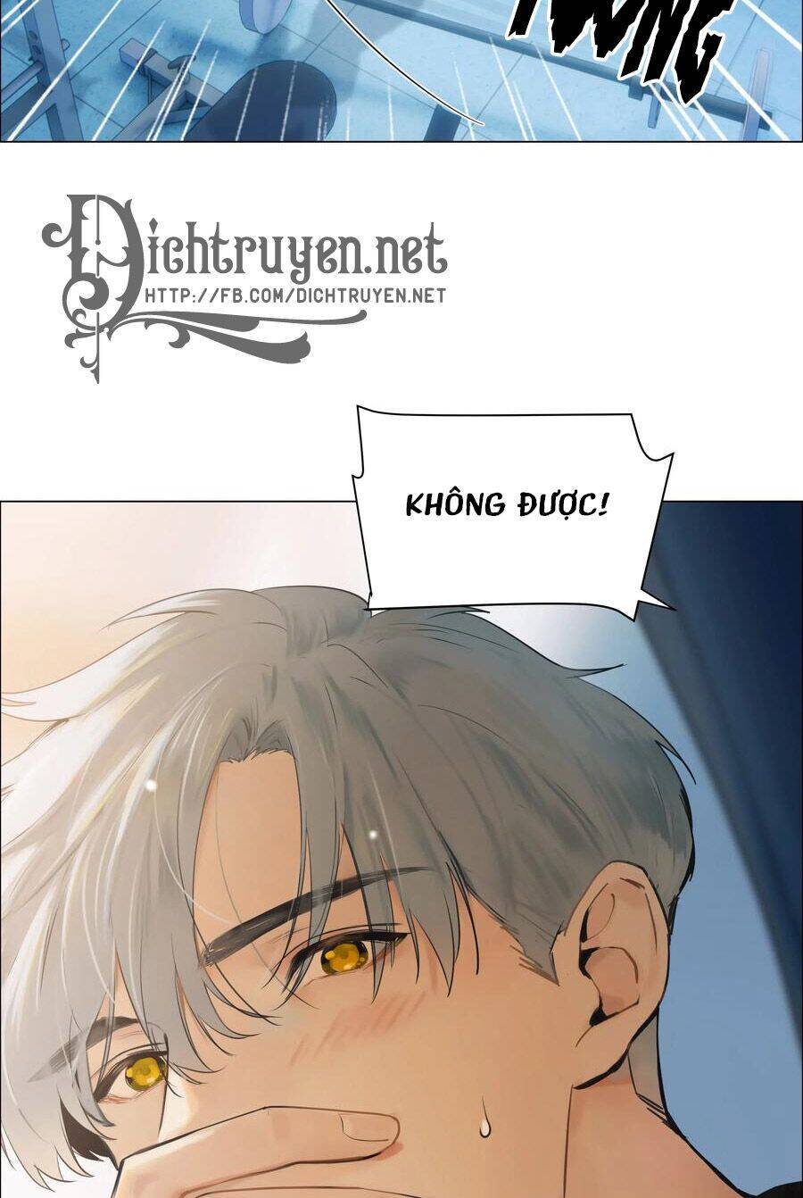 Đâu Phải Tại Tui Muốn Giả Gái Chapter 66 - 12