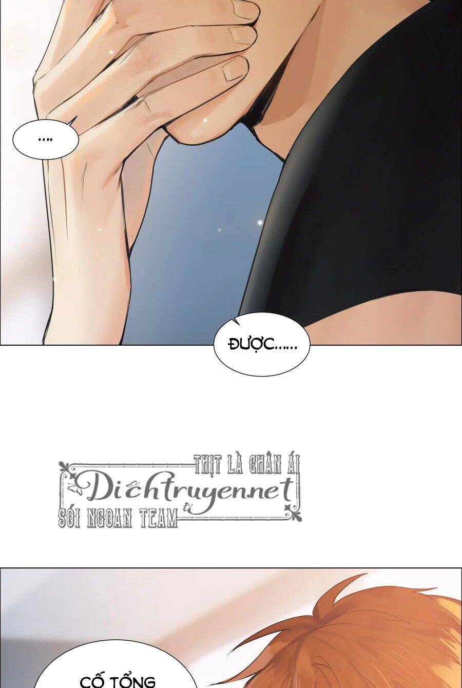 Đâu Phải Tại Tui Muốn Giả Gái Chapter 66 - 13