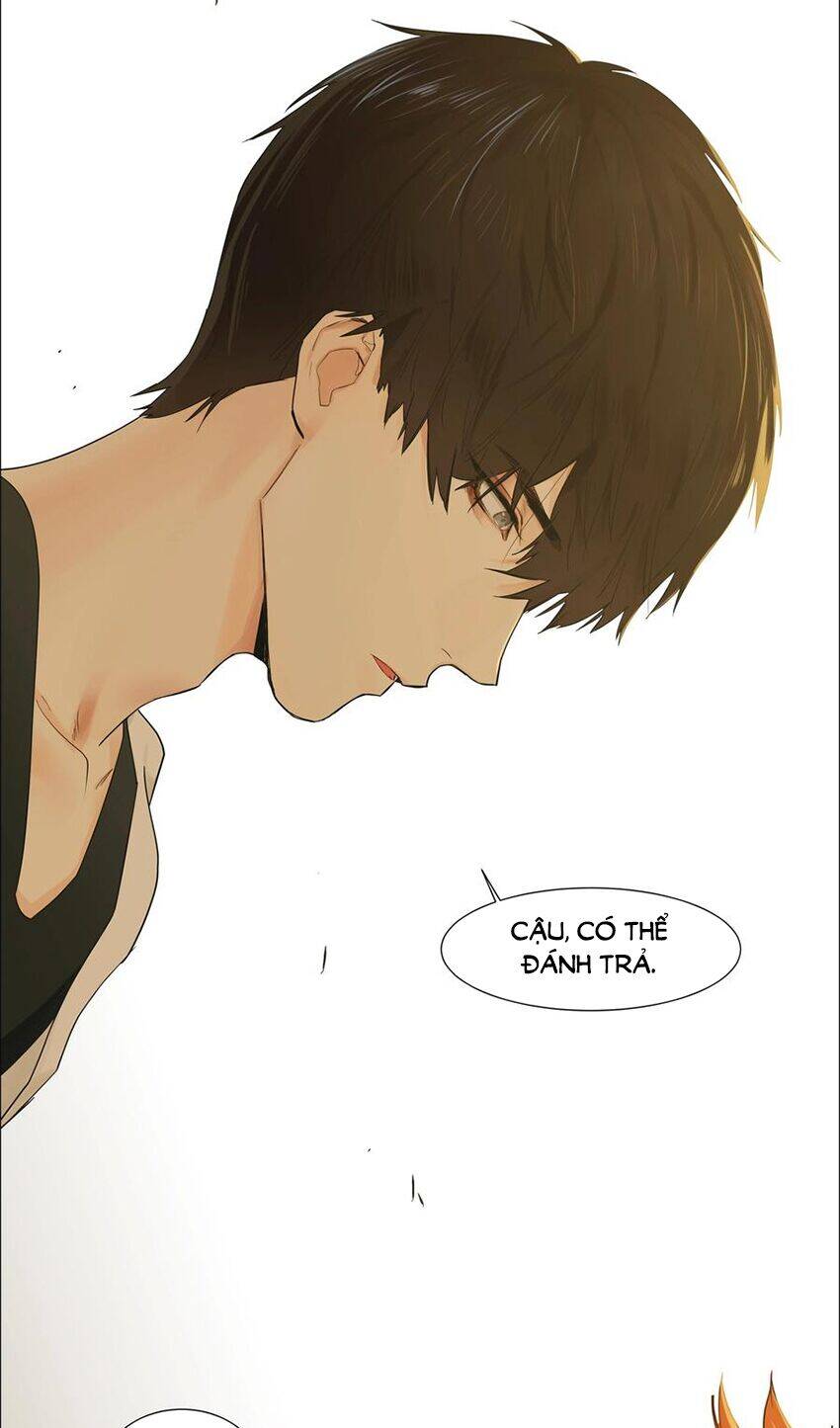 Đâu Phải Tại Tui Muốn Giả Gái Chapter 71 - 12