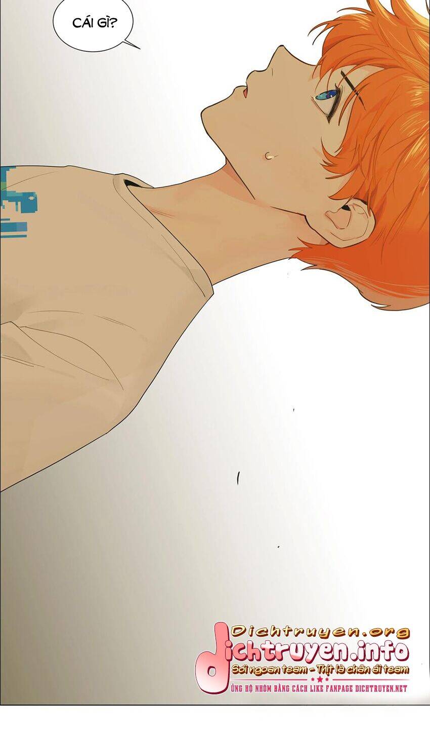 Đâu Phải Tại Tui Muốn Giả Gái Chapter 71 - 13