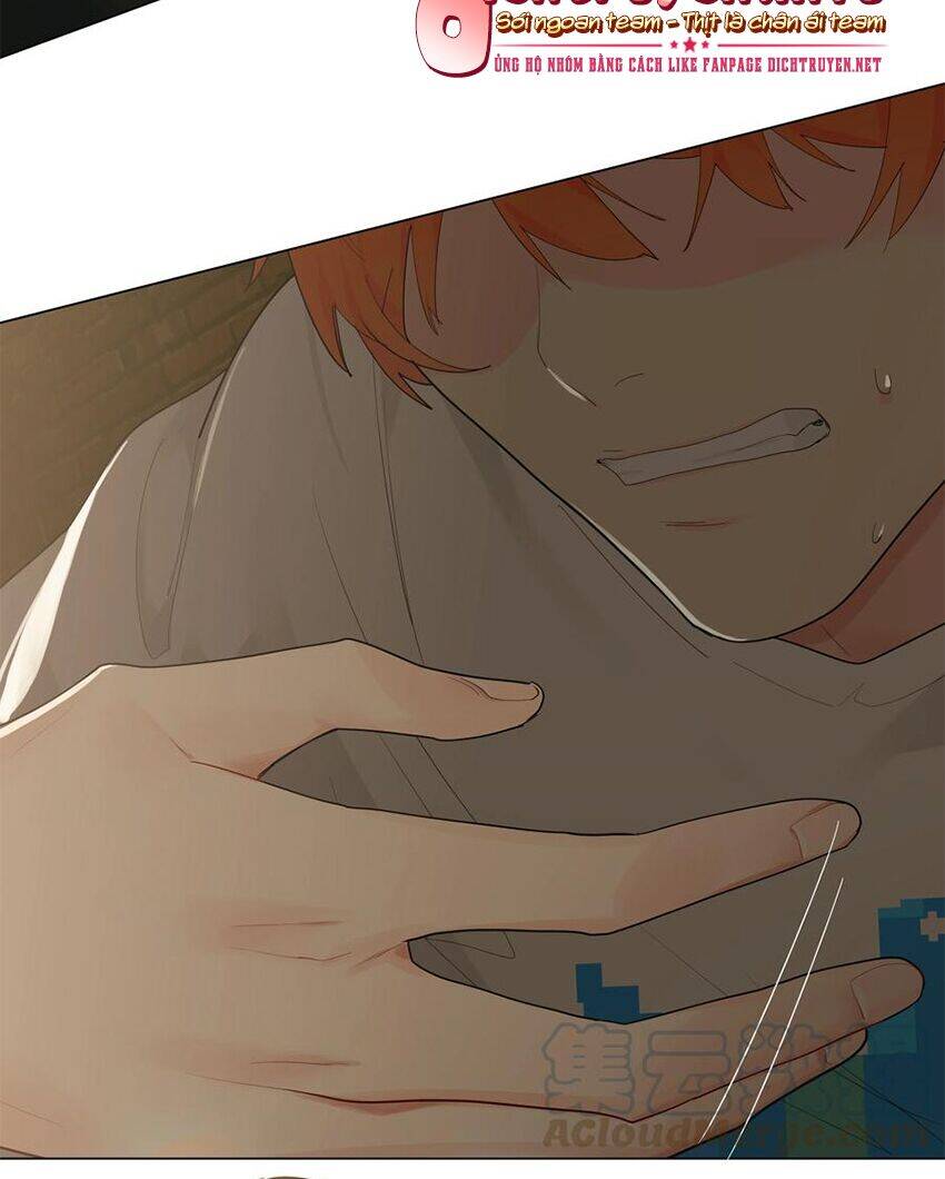 Đâu Phải Tại Tui Muốn Giả Gái Chapter 71 - 16