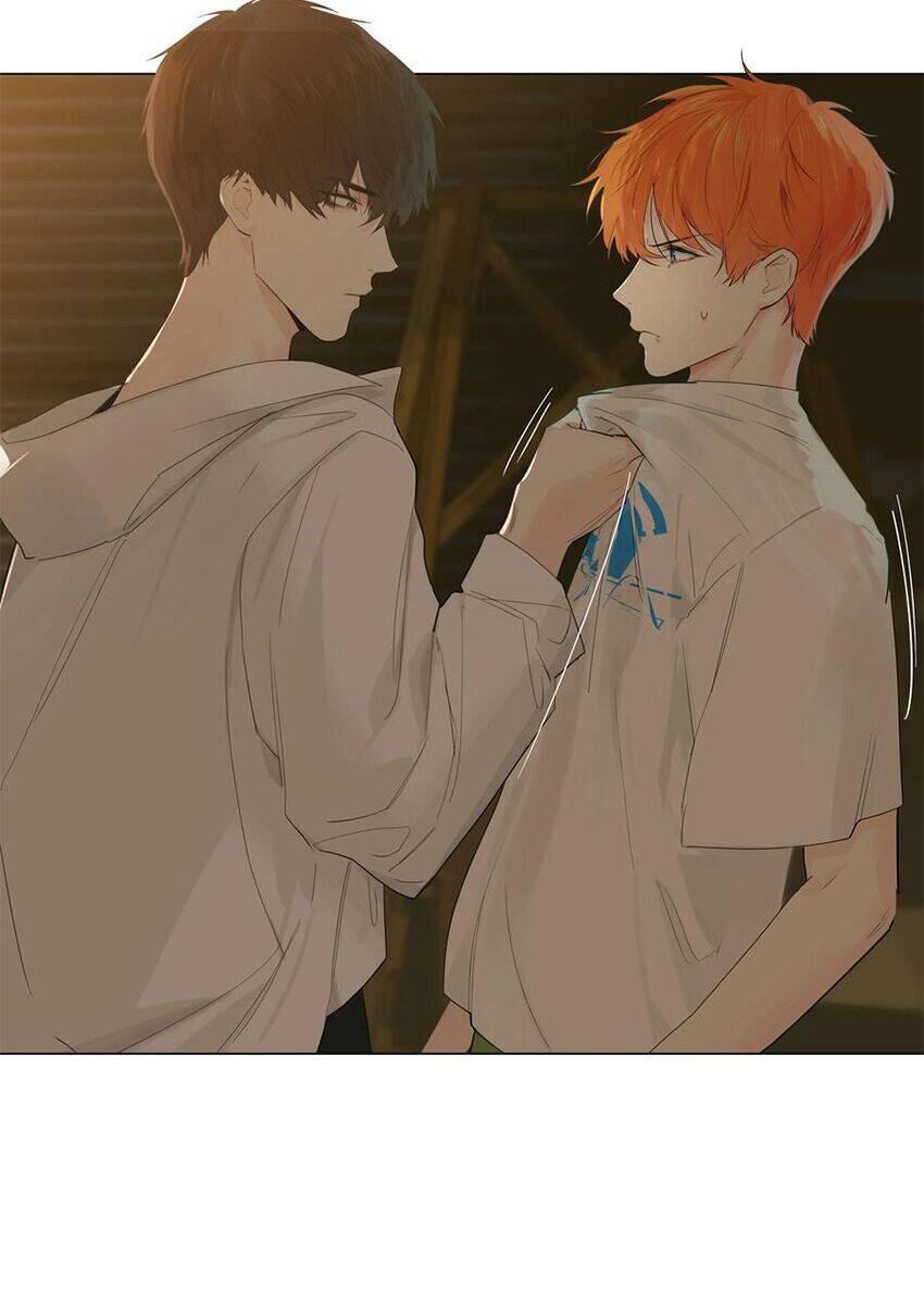 Đâu Phải Tại Tui Muốn Giả Gái Chapter 71 - 17