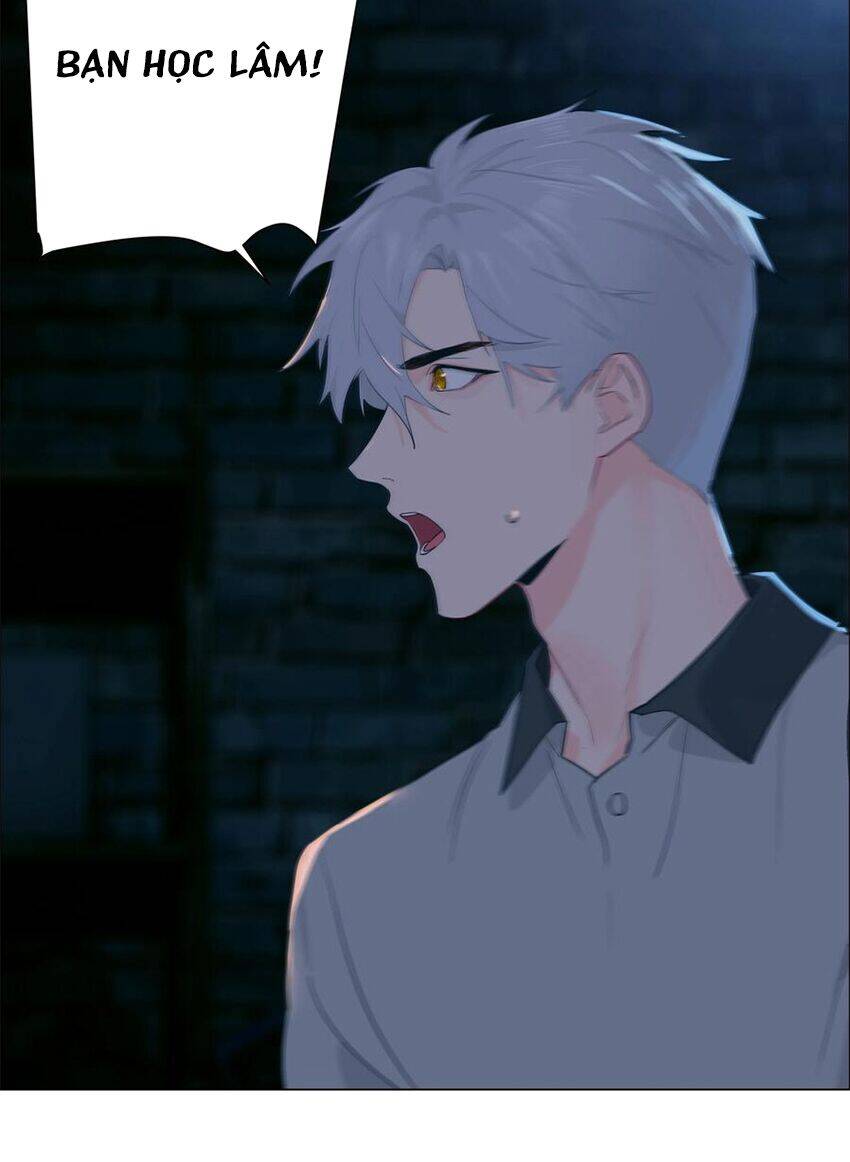 Đâu Phải Tại Tui Muốn Giả Gái Chapter 71 - 33