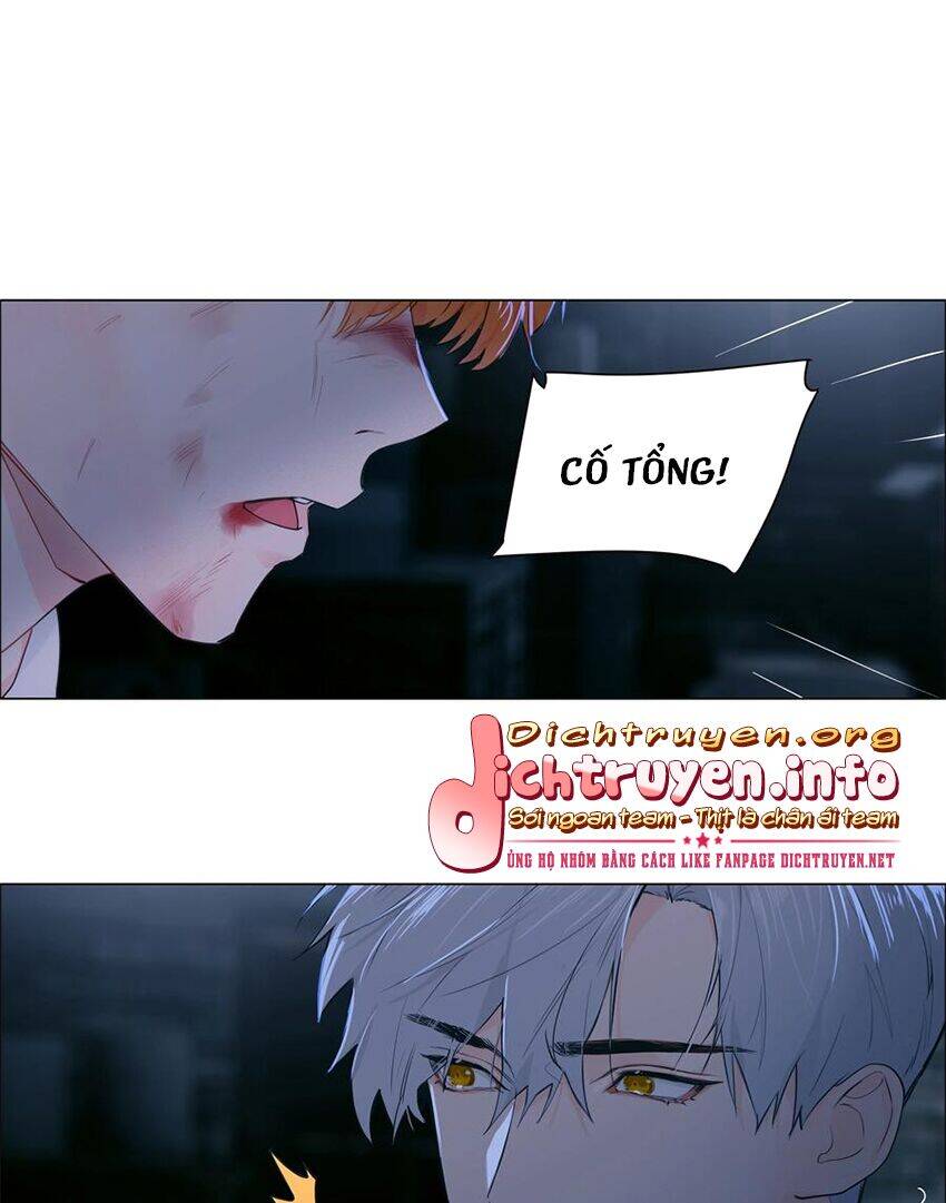 Đâu Phải Tại Tui Muốn Giả Gái Chapter 71 - 37
