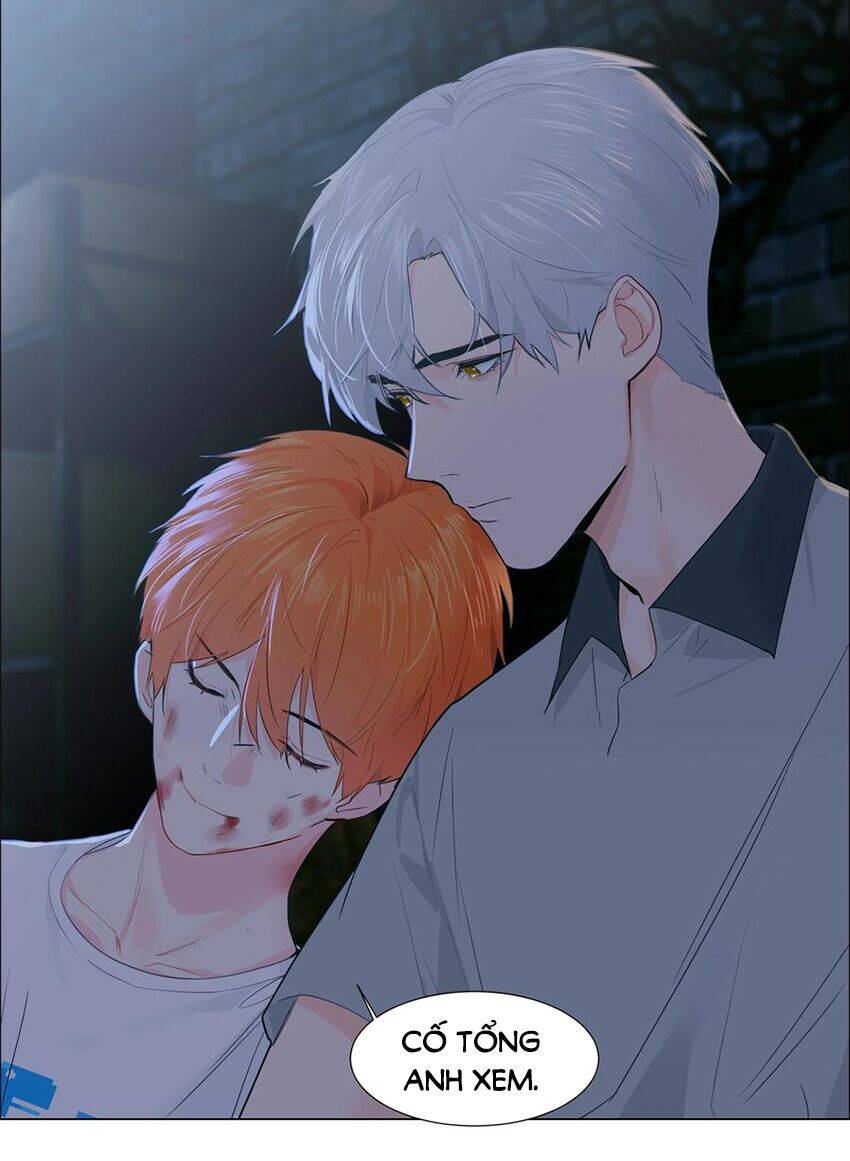 Đâu Phải Tại Tui Muốn Giả Gái Chapter 71 - 41