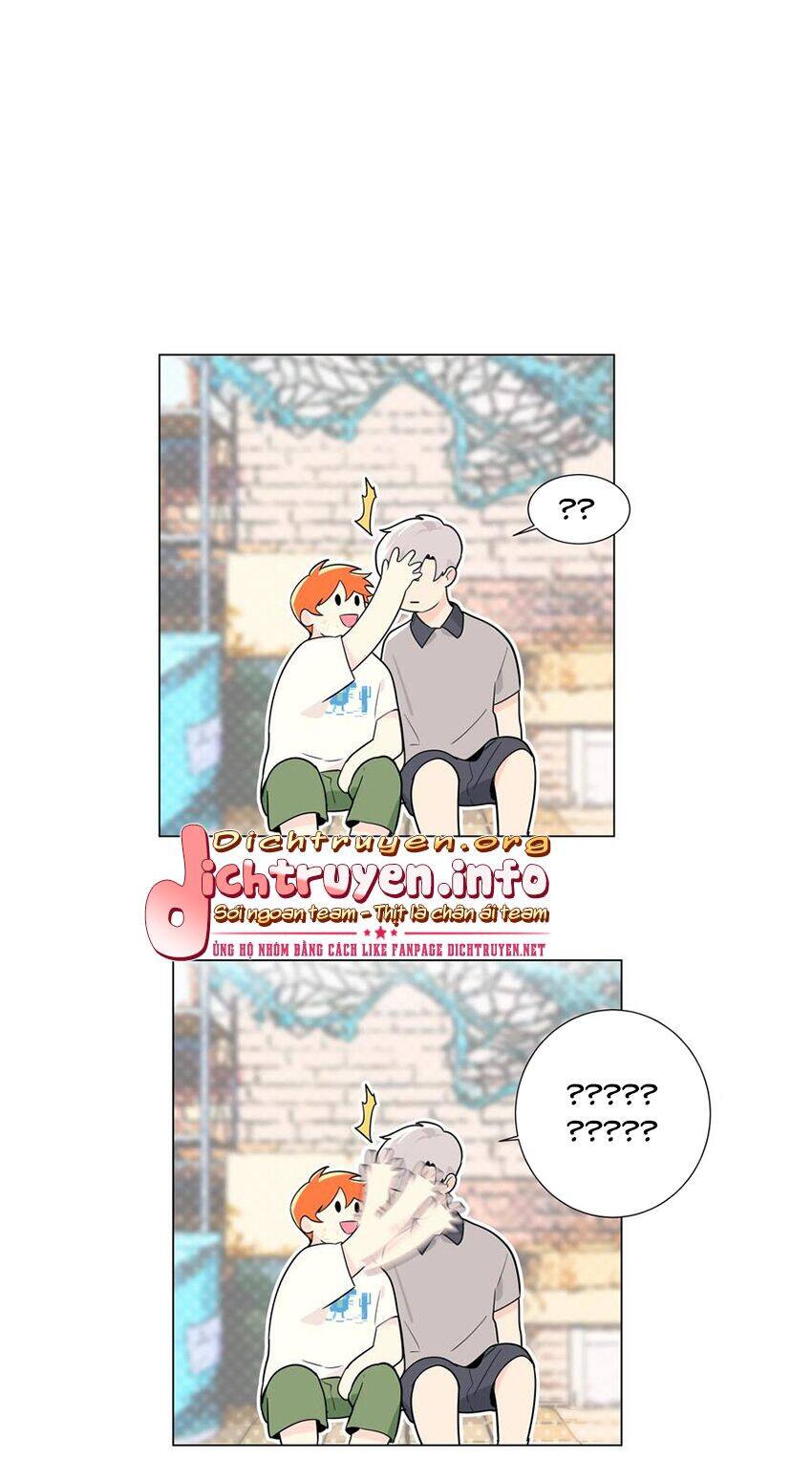 Đâu Phải Tại Tui Muốn Giả Gái Chapter 71 - 47