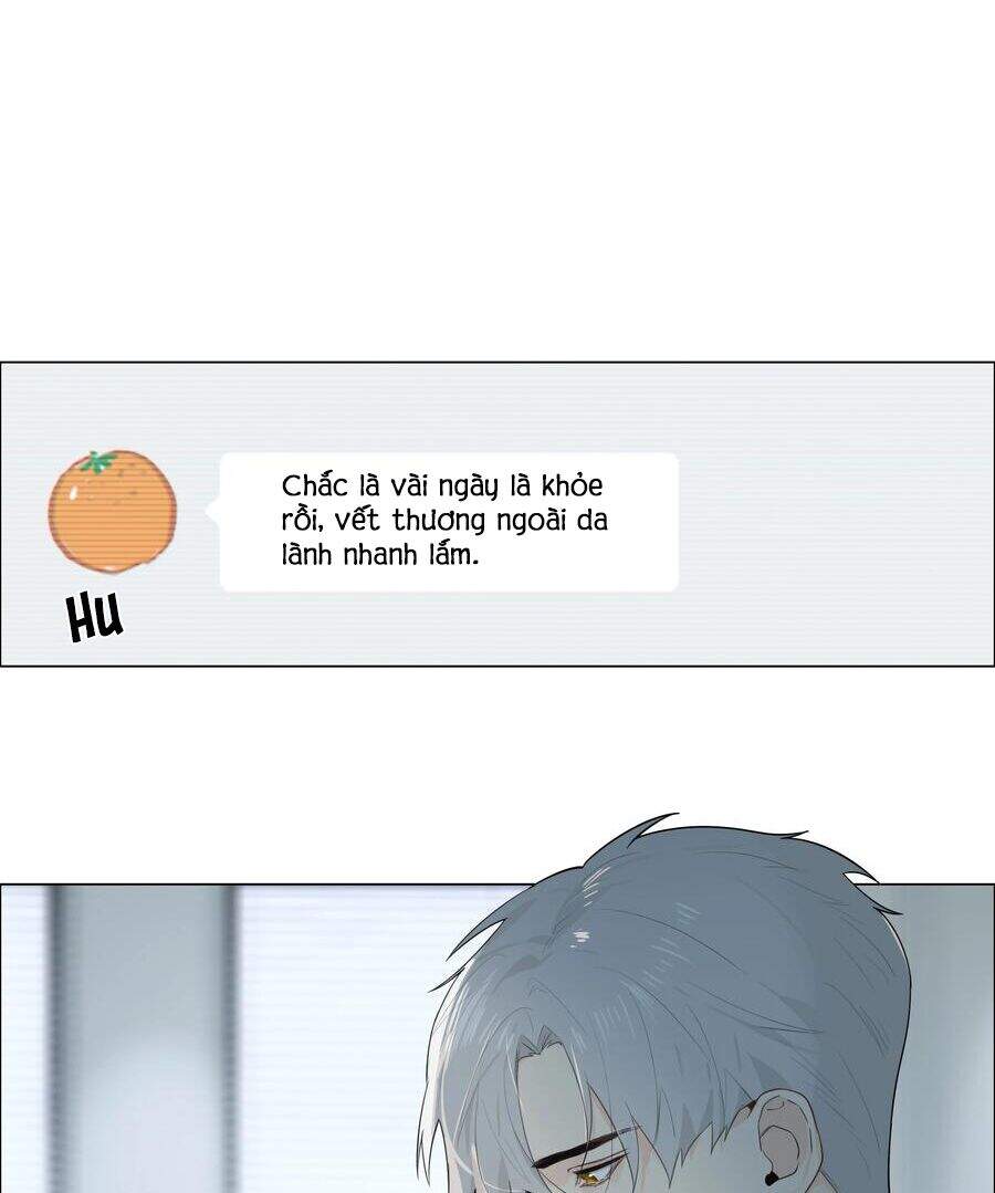 Đâu Phải Tại Tui Muốn Giả Gái Chapter 72 - 30