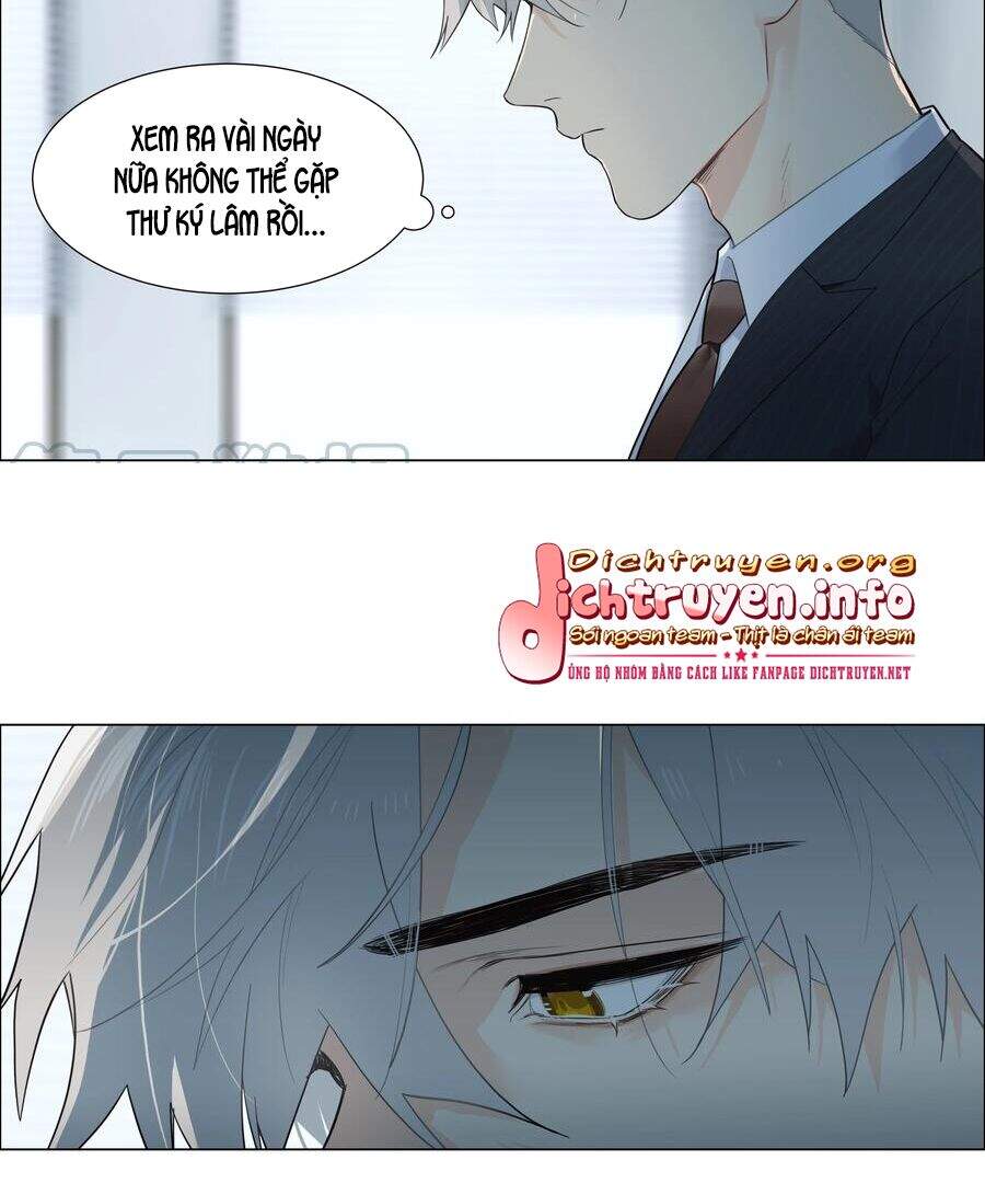 Đâu Phải Tại Tui Muốn Giả Gái Chapter 72 - 31