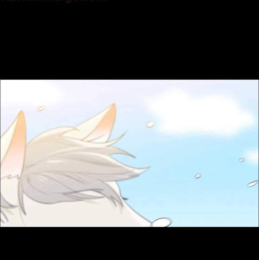 Đâu Phải Tại Tui Muốn Giả Gái Chapter 78.5 - 24