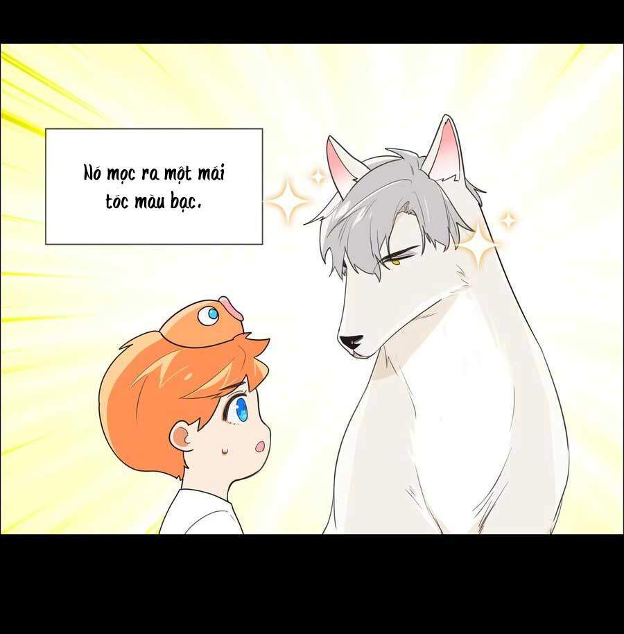 Đâu Phải Tại Tui Muốn Giả Gái Chapter 78.5 - 9