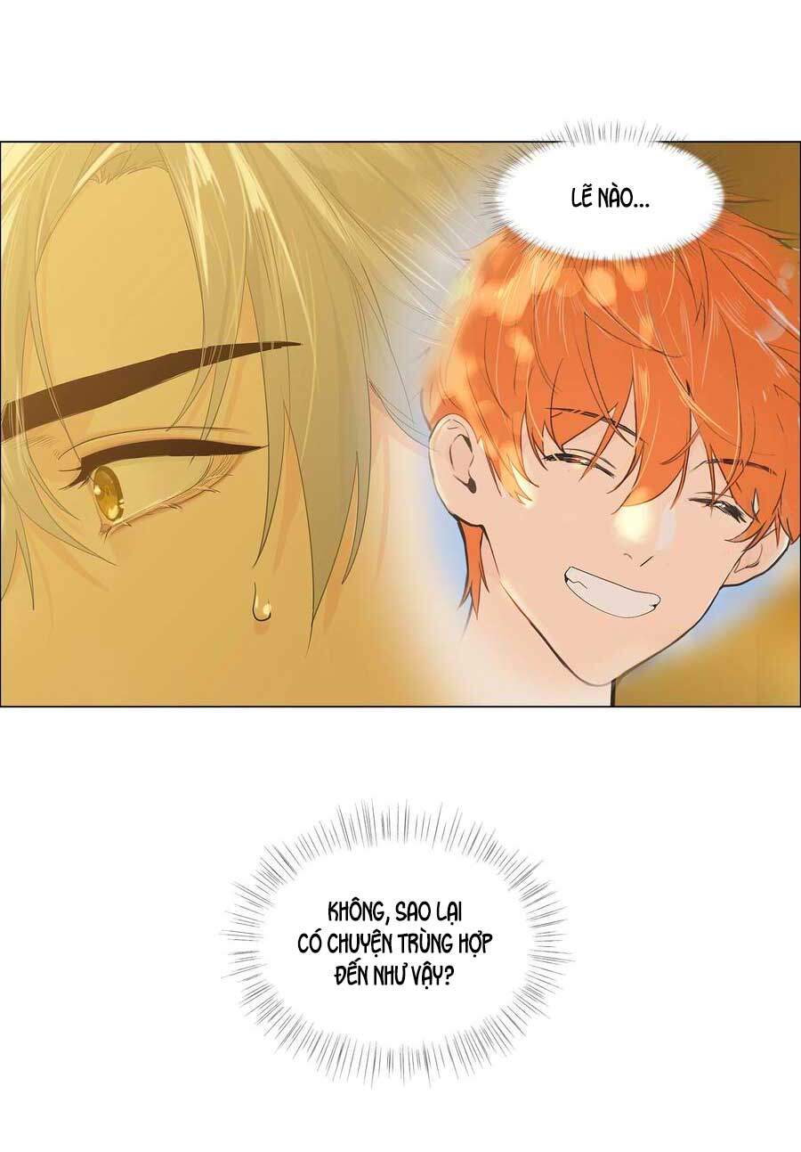 Đâu Phải Tại Tui Muốn Giả Gái Chapter 79 - 19