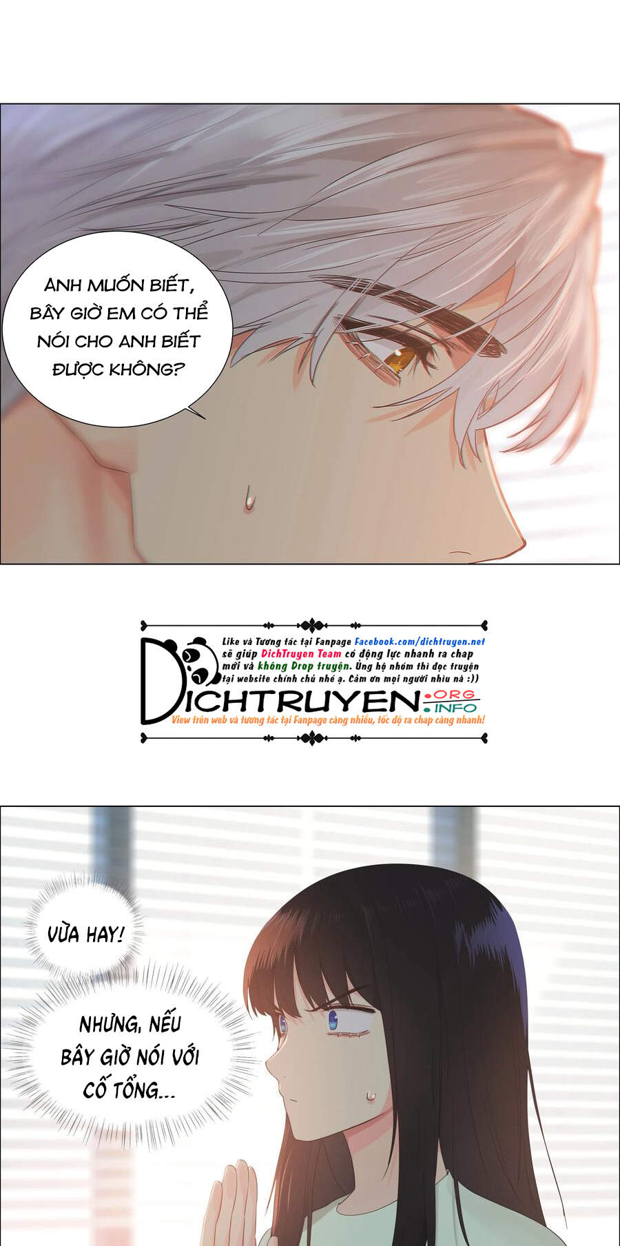 Đâu Phải Tại Tui Muốn Giả Gái Chapter 82 - 51