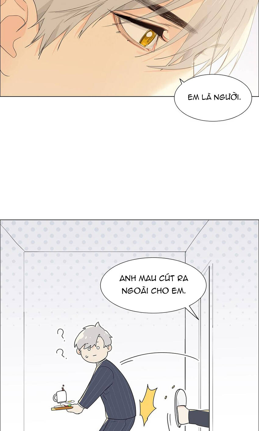 Đâu Phải Tại Tui Muốn Giả Gái Chapter 88 - 9