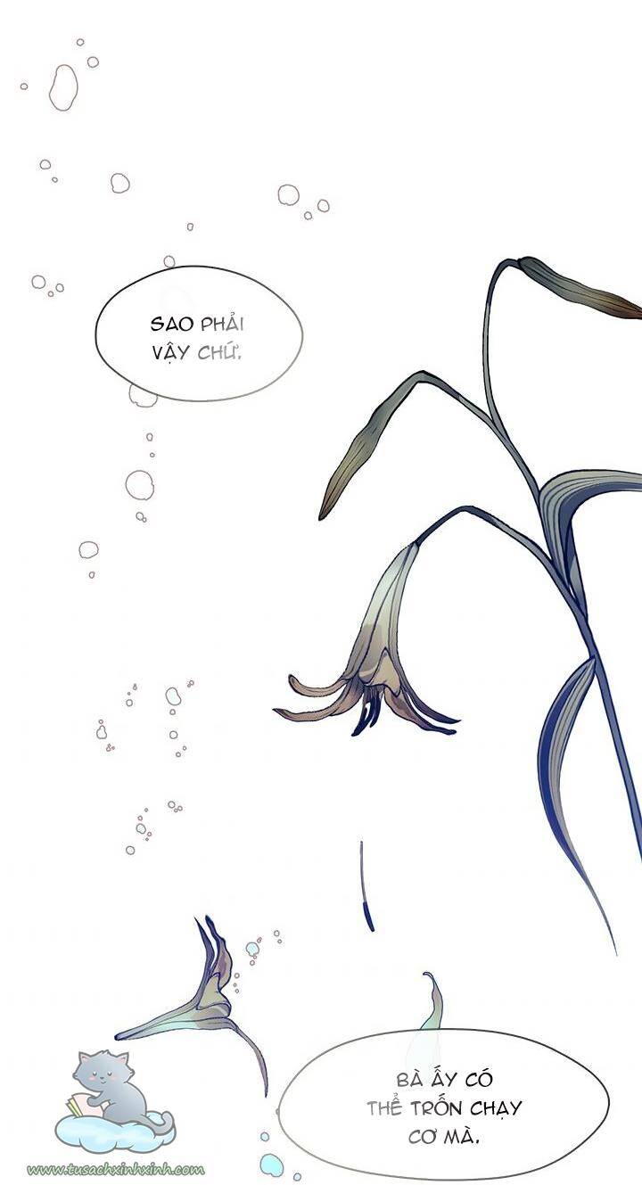 Hãy Coi Chừng Ác Nữ Chapter 105 - 47