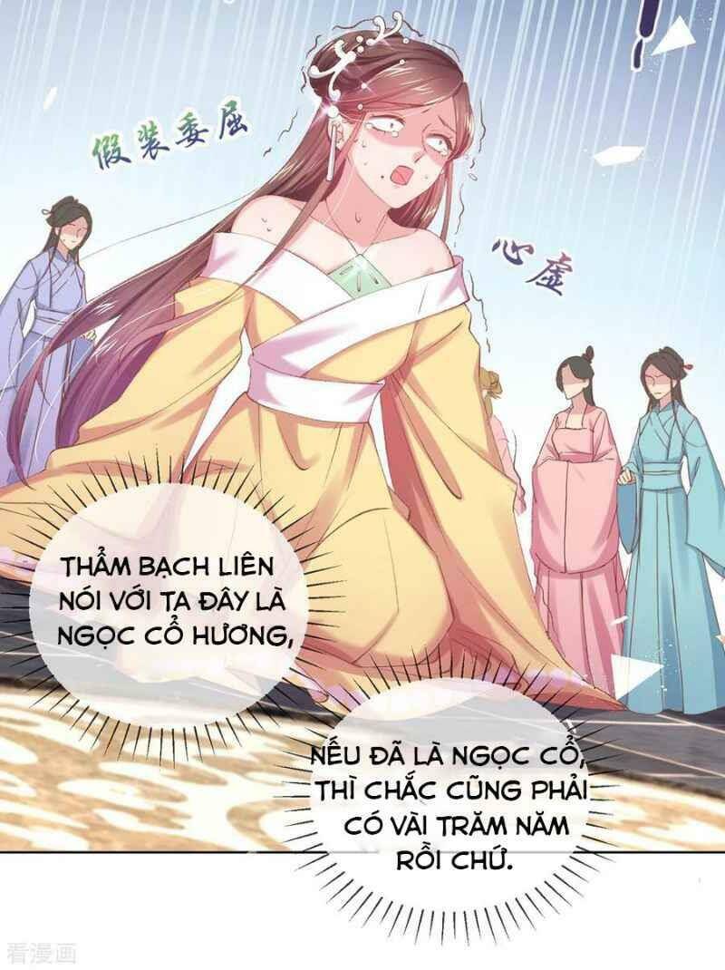 Thị Huyết Y Phi Chapter 60 - 11