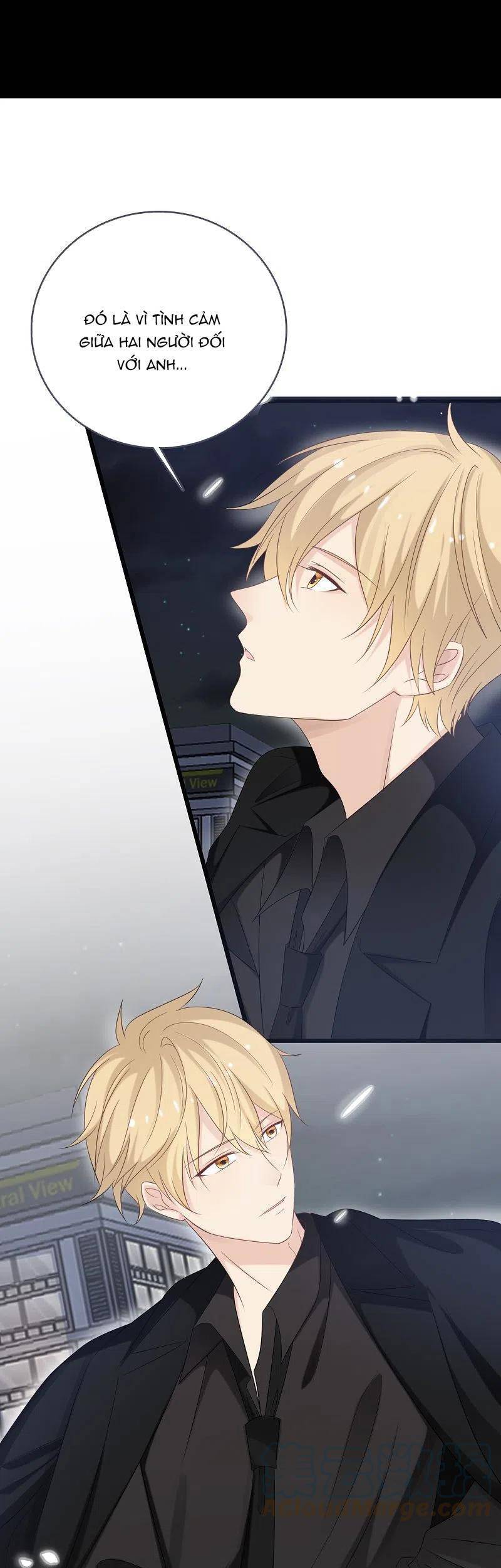 Tổng Tài Daddy Đuổi Tới Nơi Rồi Chapter 185 - 13