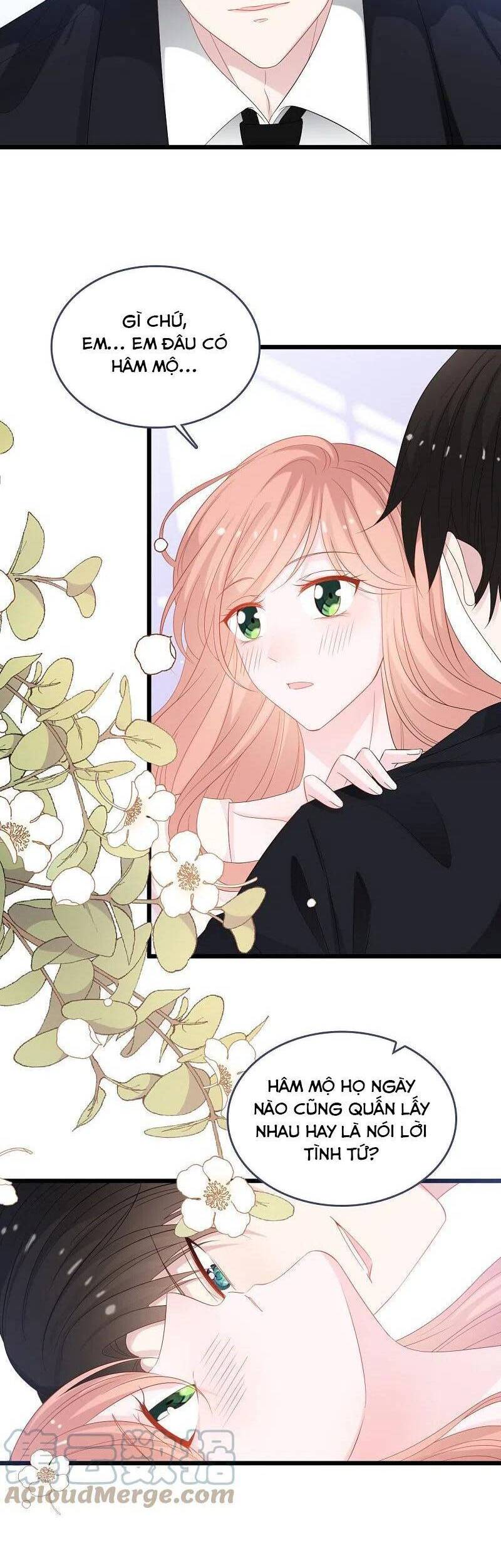 Tổng Tài Daddy Đuổi Tới Nơi Rồi Chapter 186 - 8