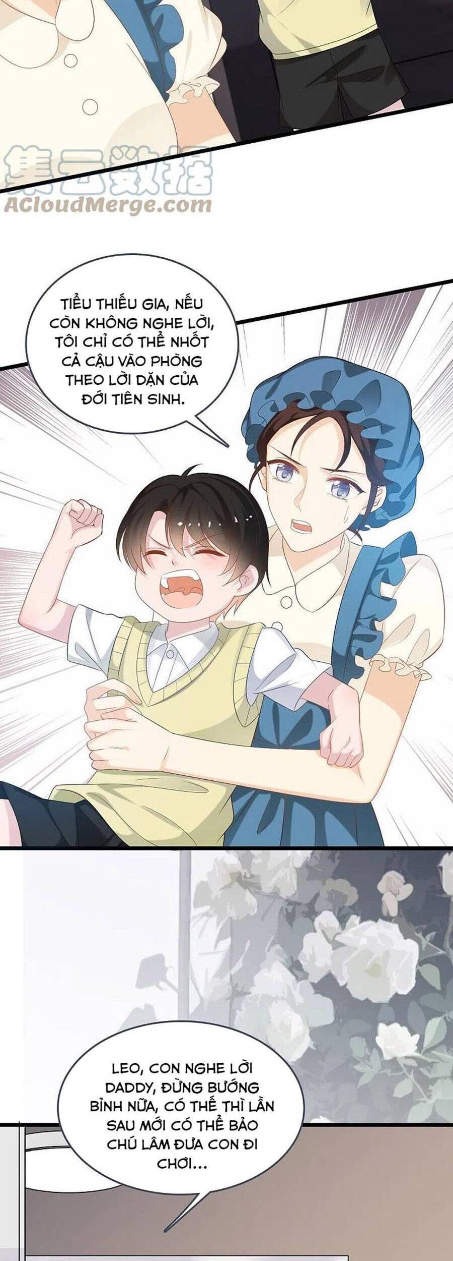 Tổng Tài Daddy Đuổi Tới Nơi Rồi Chapter 198 - 5