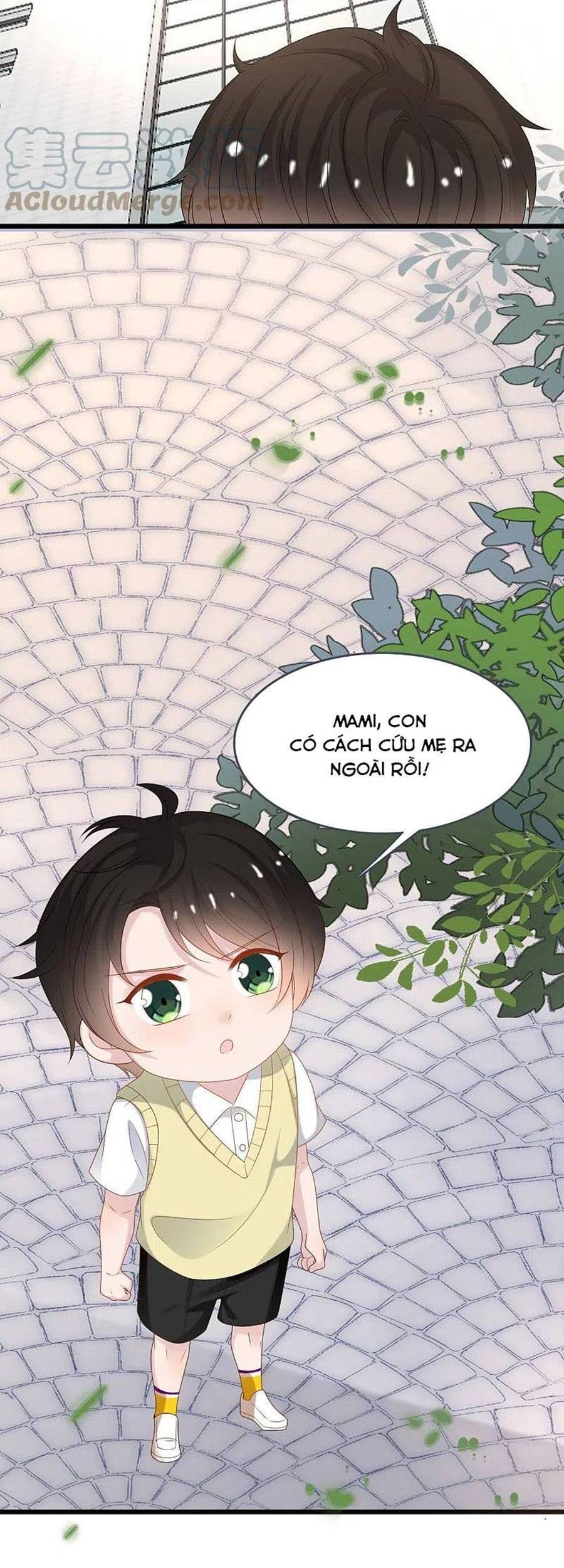 Tổng Tài Daddy Đuổi Tới Nơi Rồi Chapter 198 - 8