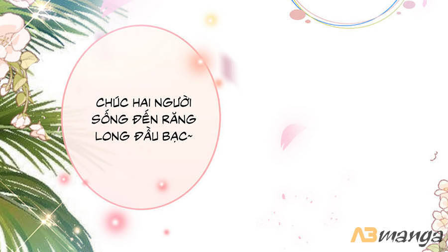 Tổng Tài Daddy Đuổi Tới Nơi Rồi Chapter 105 - 19