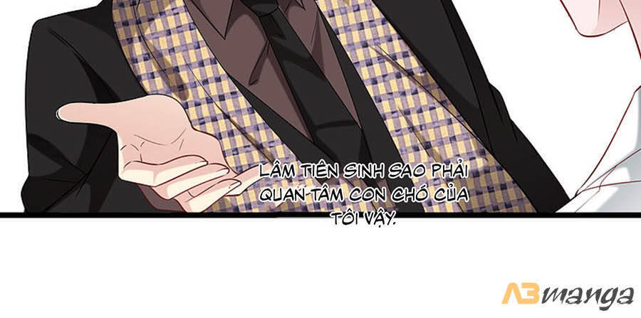 Tổng Tài Daddy Đuổi Tới Nơi Rồi Chapter 106 - 3
