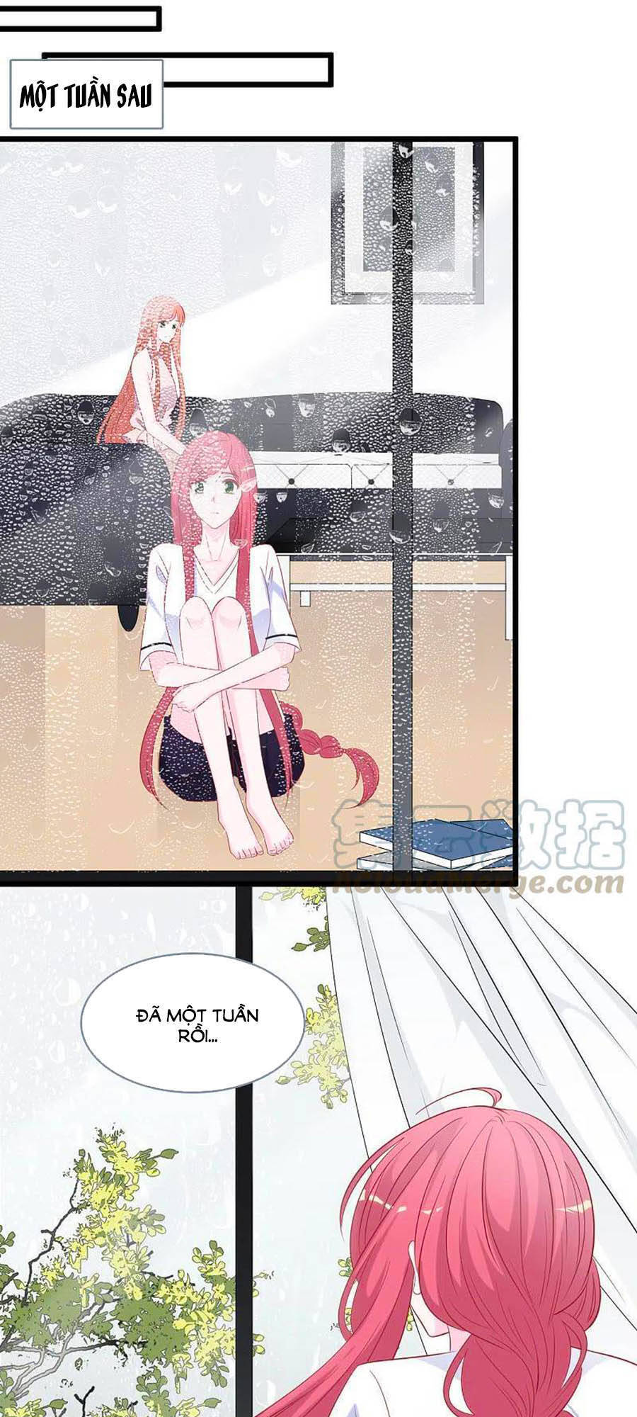 Tổng Tài Daddy Đuổi Tới Nơi Rồi Chapter 140 - 15