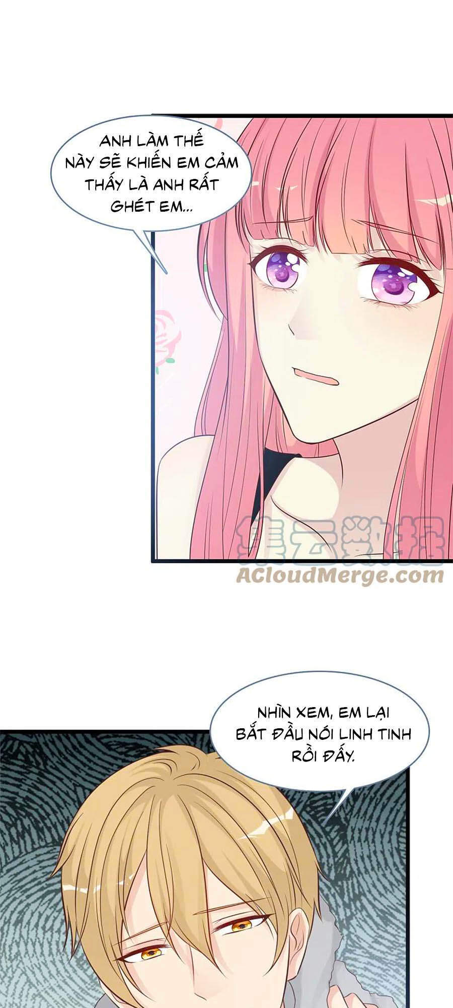 Tổng Tài Daddy Đuổi Tới Nơi Rồi Chapter 162 - 2