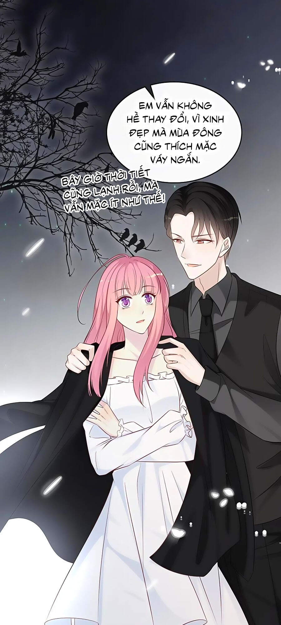 Tổng Tài Daddy Đuổi Tới Nơi Rồi Chapter 165 - 5
