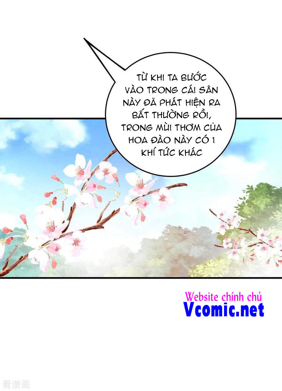 Vạn Cổ Đệ Nhất Tế Chapter 166 - 24
