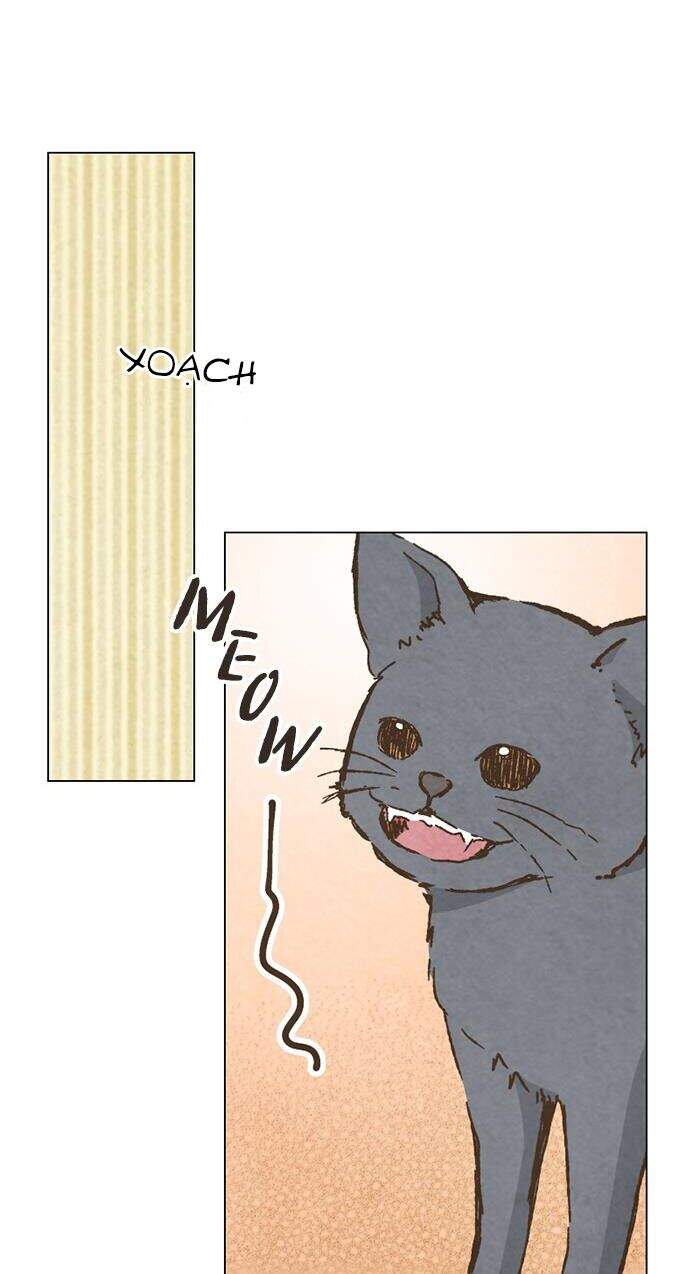 Làm Vợ Anh, Em Nhé Chapter 73 - 29