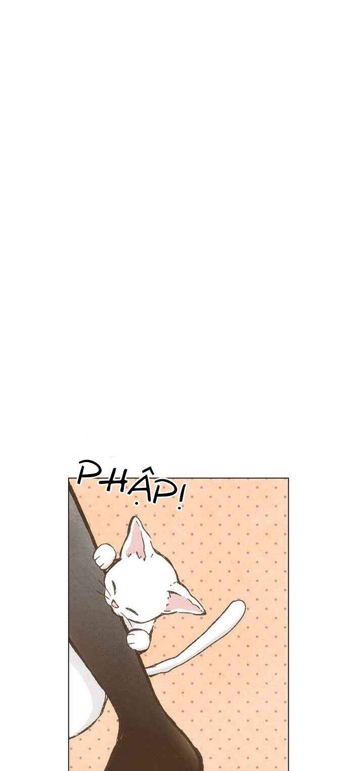 Làm Vợ Anh, Em Nhé Chapter 74 - 5