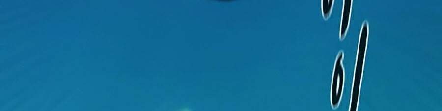 Thợ Săn 3 Cm Chapter 84 - 56